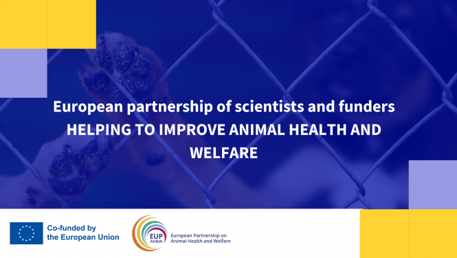 Animal Welfare and health