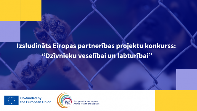 Eiropas partnerības projektu konkurss
